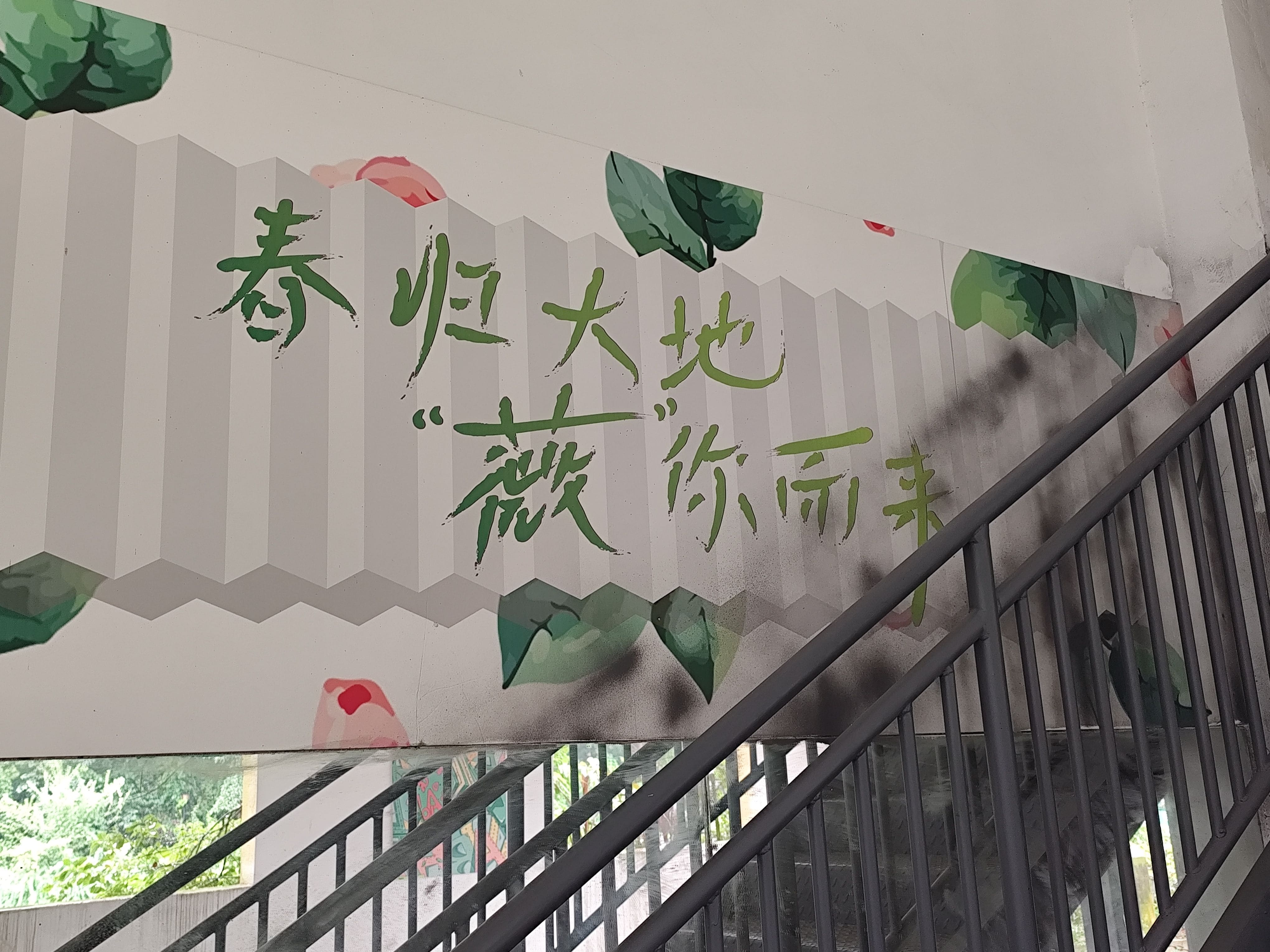 蔷薇节4